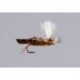Amber Parachute Hopper