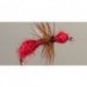 Ant Red