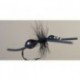 Attractor Ant