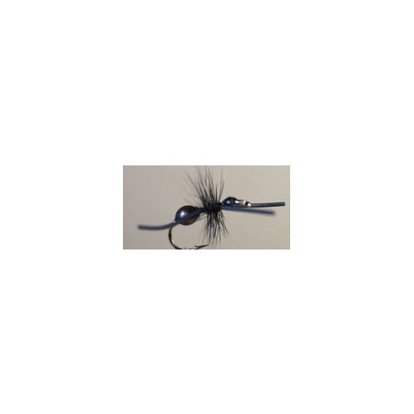 Attractor Ant