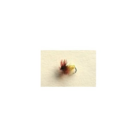 Beetle Gum