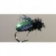 Beetle Kiwi