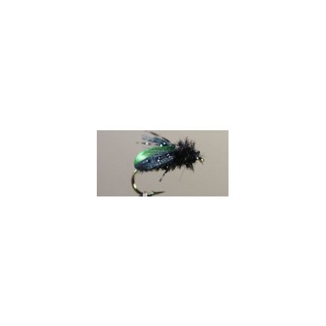 Beetle Kiwi
