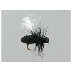 Black Ant Hf