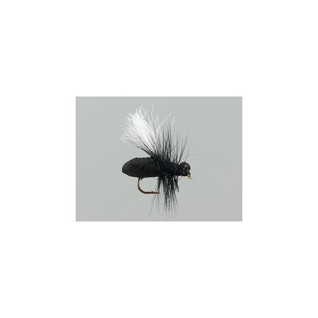 Black Ant Hf