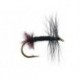Black Ant