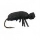 Black Beetle