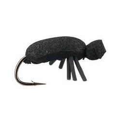 Black Beetle