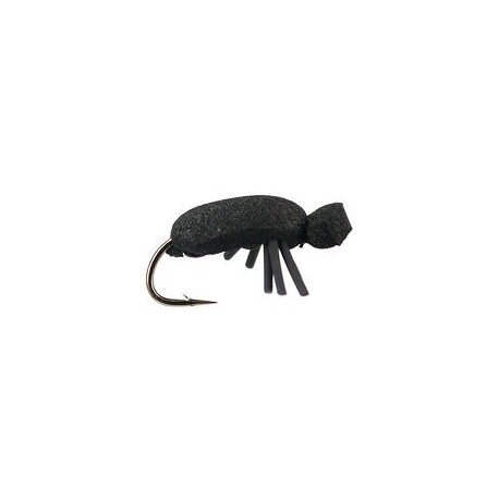 Black Beetle