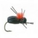Black Beetle