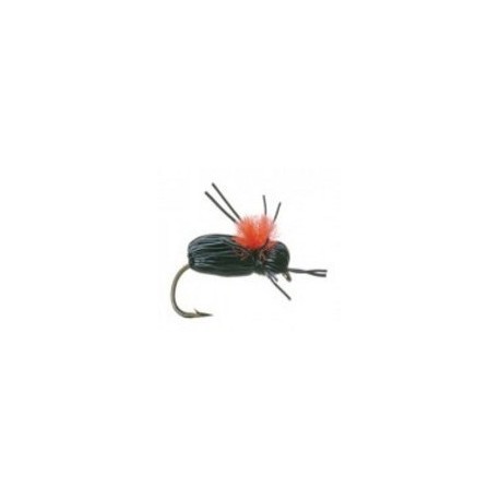 Black Beetle