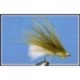 Dawsons Olive With White Tail