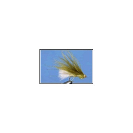 Dawsons Olive With White Tail