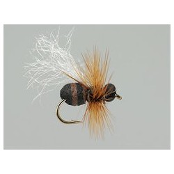 Brown Ant Hf