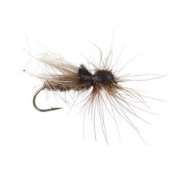 Brown CDC Hopper
