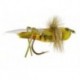 Cavallette Chernobyl Ants Cernobyl Formiche