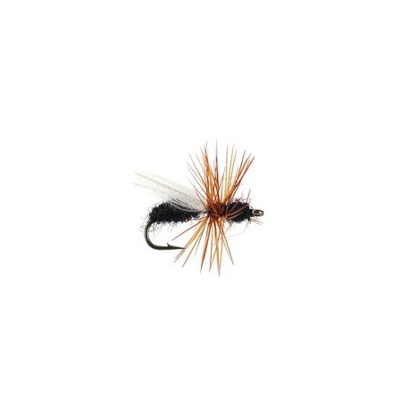 CDC Flying Ant Black