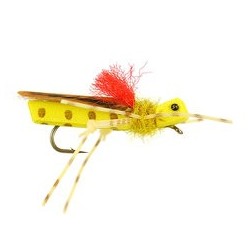 Chewbakka Hopper Yellow