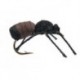 Cinnamon Ant