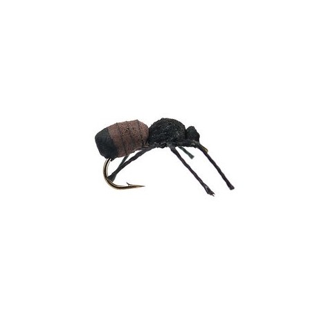 Cinnamon Ant