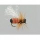 Cinnamon Ant Hf