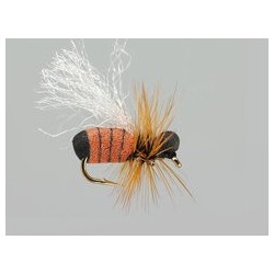 Cinnamon Ant Hf