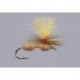 Cinnamon Hi Viz Para Ant