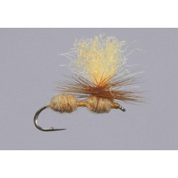 Cinnamon Hi Viz Para Ant