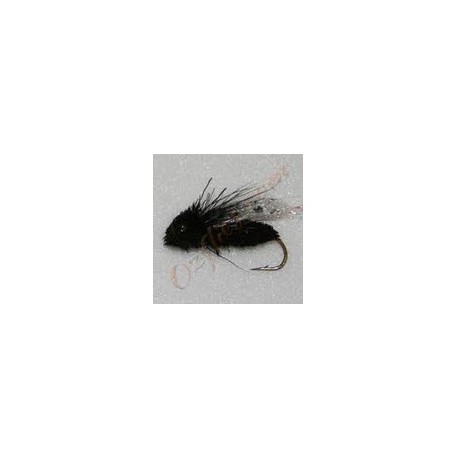 Clarks Cicada Black