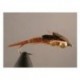 Double Bead Brown Stonefly