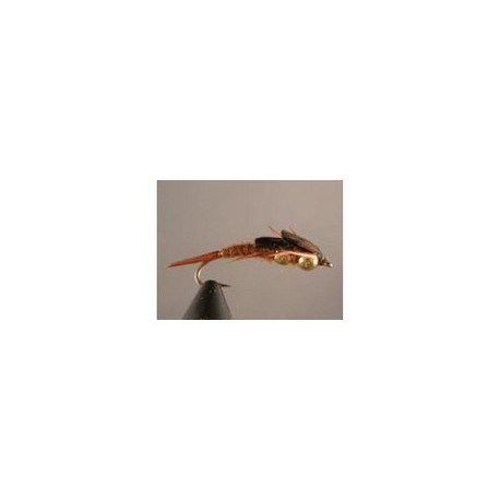 Double Bead Brown Stonefly