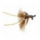 Crayfish