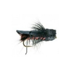 Dave Cricket Black