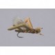 Dornans Insect Brwn Orng Hot Rod Hopper