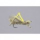 Dornans Tan Yellow Hot Rod Hopper