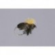 E Foam Beetle