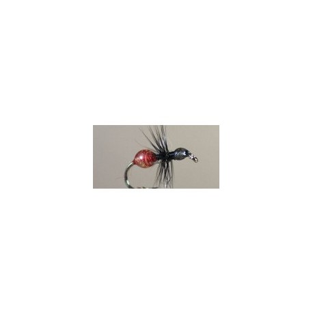 Epoxy Ant