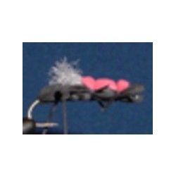 Fat Albert Taylor's
