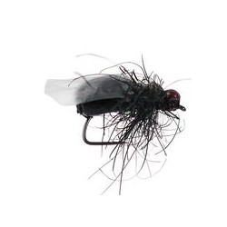 Fat Black Winged Foam Ant