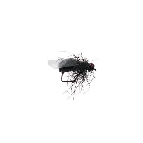 Fat Black Winged Foam Ant