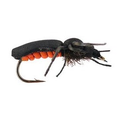Fire Fly
