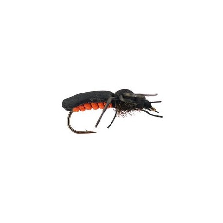Fire Fly