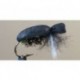 Firefly Foam