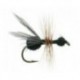 Flying Ant Black