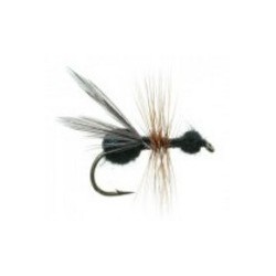 Flying Ant Black