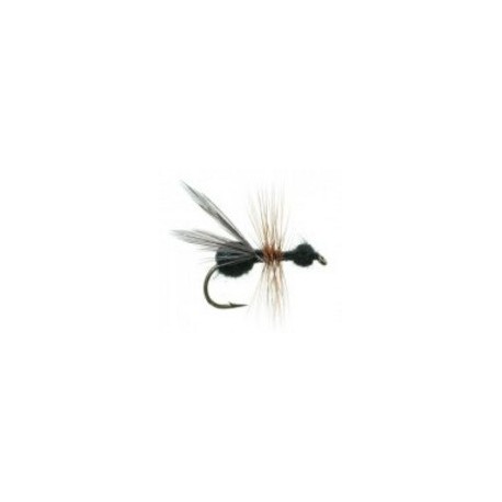 Flying Ant Black