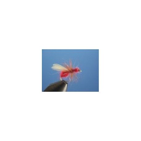 Flying Ant Red