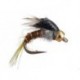 Downeys Master Baetis