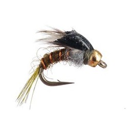 Downeys Master Baetis