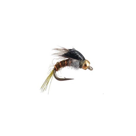Downeys Master Baetis